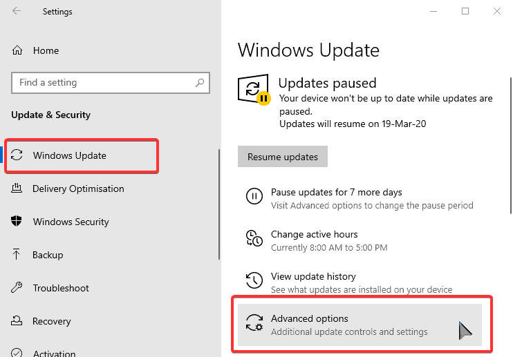Windows 10 Updates Advanced Options